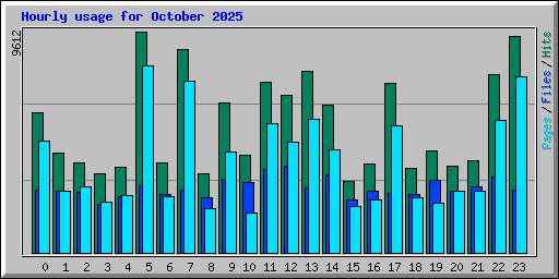 Hourly usage for October 2025