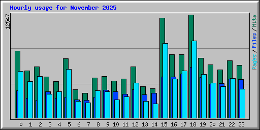Hourly usage for November 2025