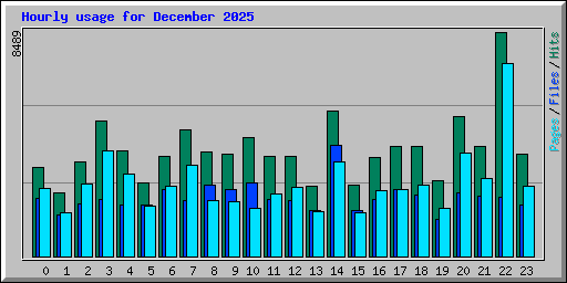 Hourly usage for December 2025