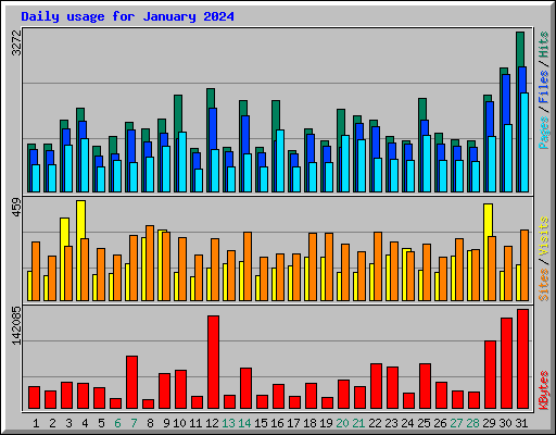 Daily usage for January 2024