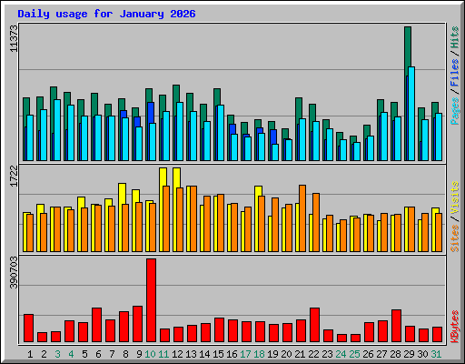 Daily usage for January 2026