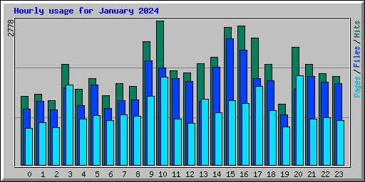 Hourly usage for January 2024