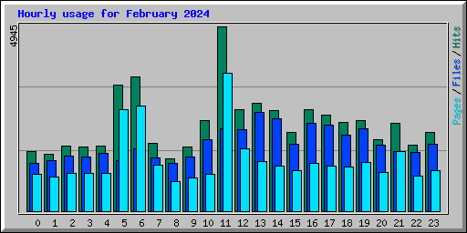 Hourly usage for February 2024