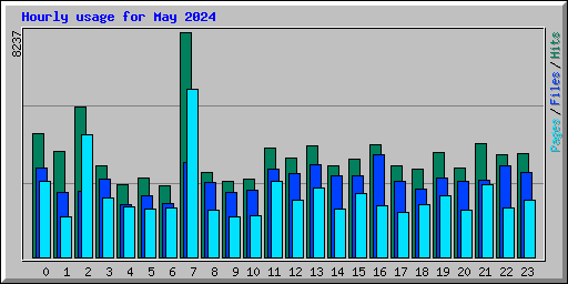 Hourly usage for May 2024