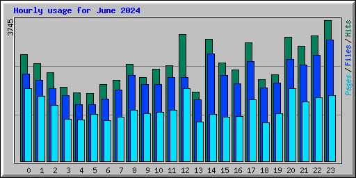 Hourly usage for June 2024