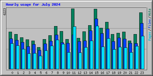 Hourly usage for July 2024