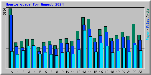 Hourly usage for August 2024