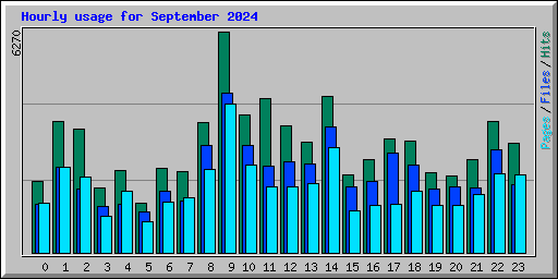 Hourly usage for September 2024