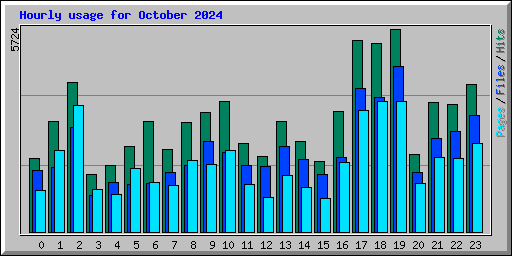 Hourly usage for October 2024