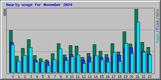 Hourly usage for November 2024