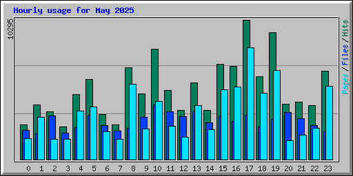 Hourly usage for May 2025