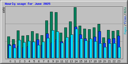 Hourly usage for June 2025