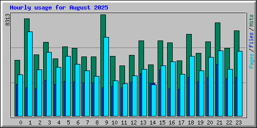 Hourly usage for August 2025