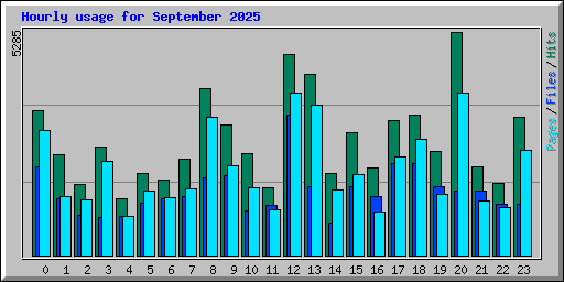Hourly usage for September 2025