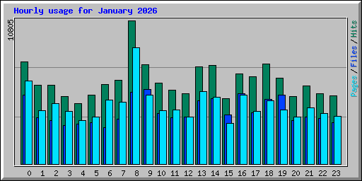 Hourly usage for January 2026