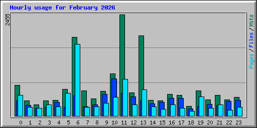 Hourly usage for February 2026