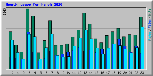 Hourly usage for March 2026